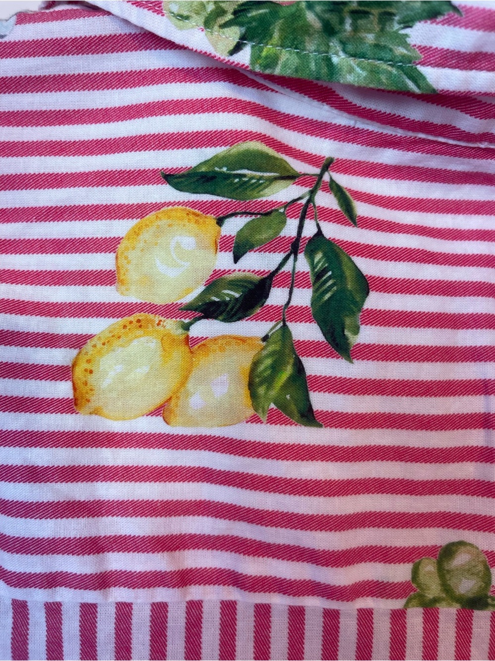 Elaine Rose Women's Pink Striped Button-Down Shirt with Playful Food Prints - Picture 11 of 12